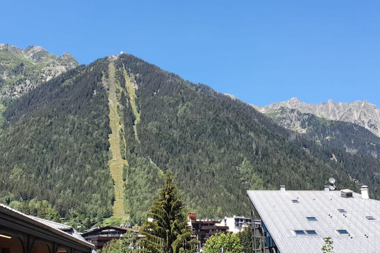 Nice 32M With Balcony View On The Mountain シャモニー エクステリア 写真